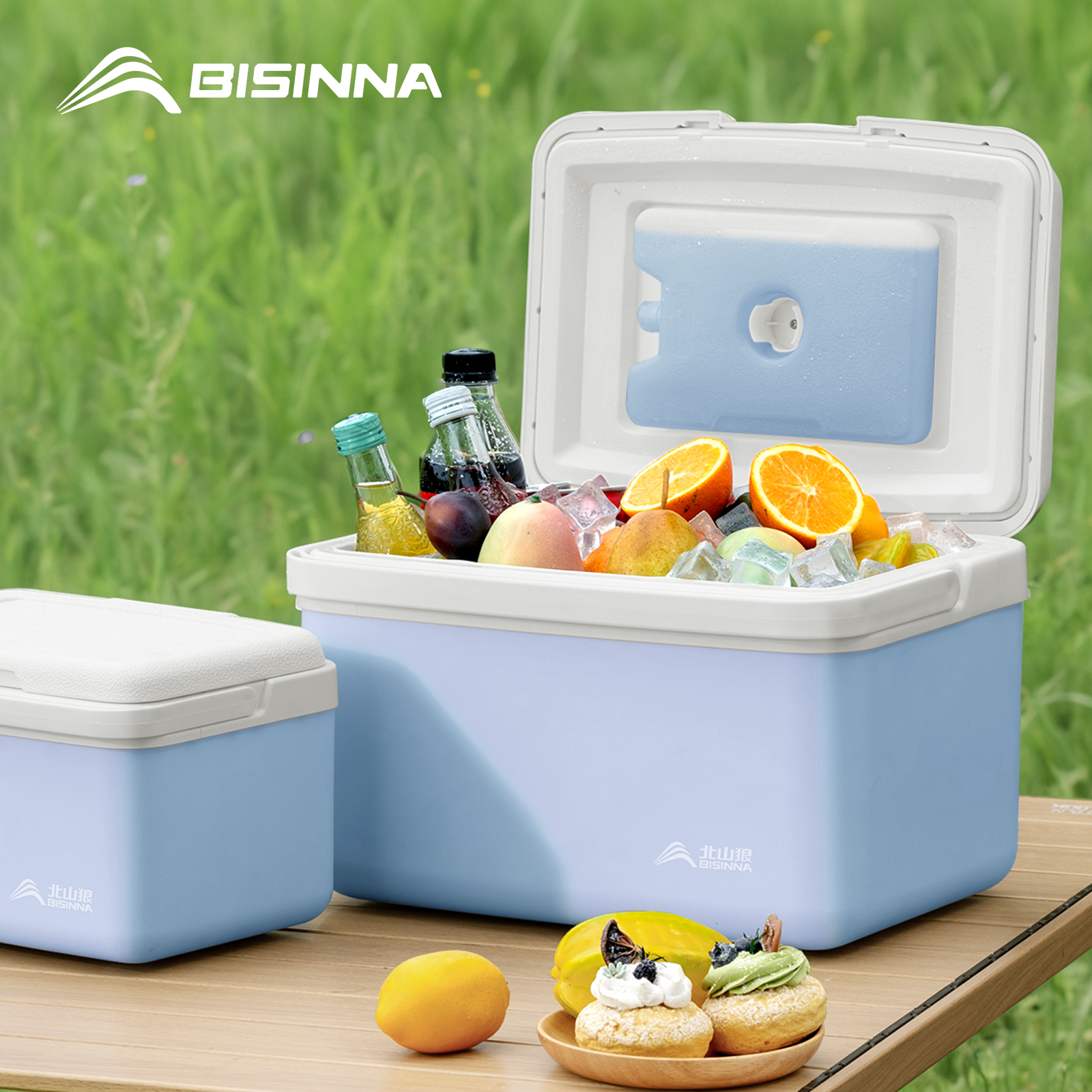 BISINNA Camping Ice Box 6L/9L/ - огляд і ціна Outdoor Camping Fridge